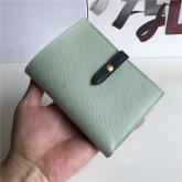 Celine Strap Medium/large Multifunction Wallet In Light Green Grained Calfskin And Shiny Calfskin Replica CY01120