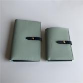 Celine Strap Medium/large Multifunction Wallet In Light Green Grained Calfskin And Shiny Calfskin Replica CY01120