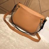 Designer Chloe Roy Bag Blush Pink In Suede & Smooth Calfskin CY00530