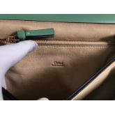 Chloe Faye Shoulder Bag Smooth N Suede Calfskin Mint CY00717