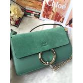 Chloe Faye Small Shoulder Bag In Suede And Smooth Calfskin Mint CY01291