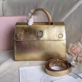 Designer Dior Diorever Bag In Gold-Tone Grained Leather CY00885