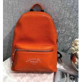 Dior Orange Grained Calfskin Rucksack With "Atelier" Print Replica CY01003